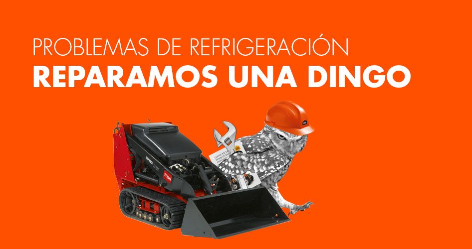 Problema refrigeración Dingo