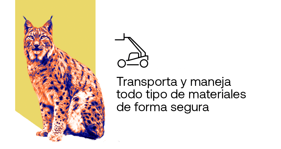 curso formación manipuladores telescópicos