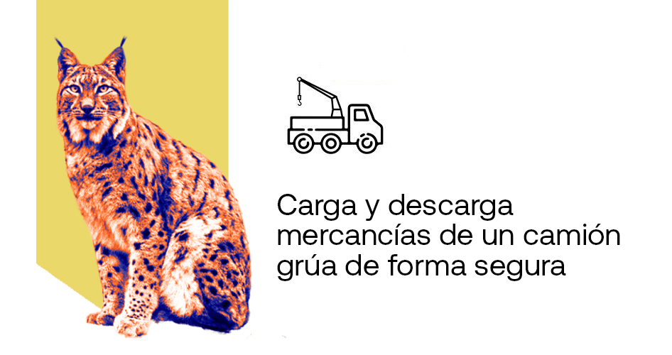 curso formación camión grúa
