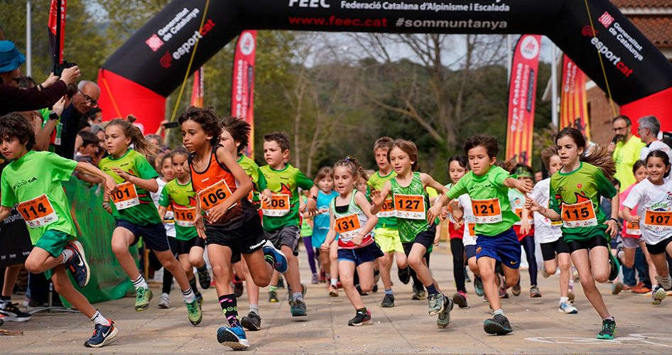 mini trail 2025