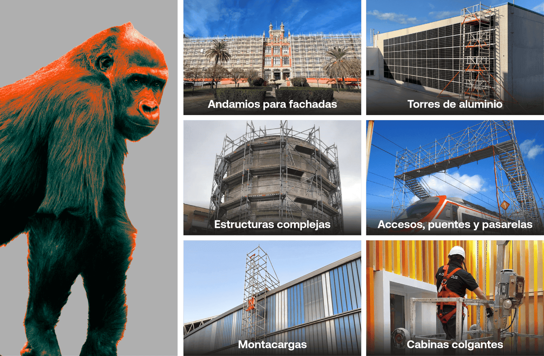 alquiler andamios